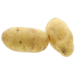 BIO PDT NICOLA 8X1,5KG